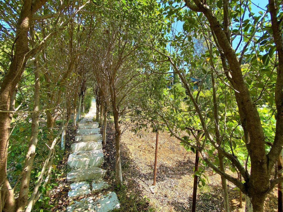 Ramo'S Cozy Beachside Haven With Panoramic Views - 2Nd Avlonya Dış mekan fotoğraf